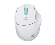 Myszka Sharkoon OfficePal M25W biała 4044951039654